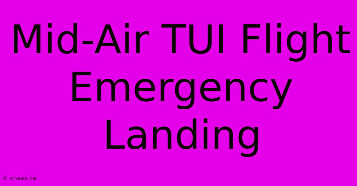 Mid-Air TUI Flight Emergency Landing