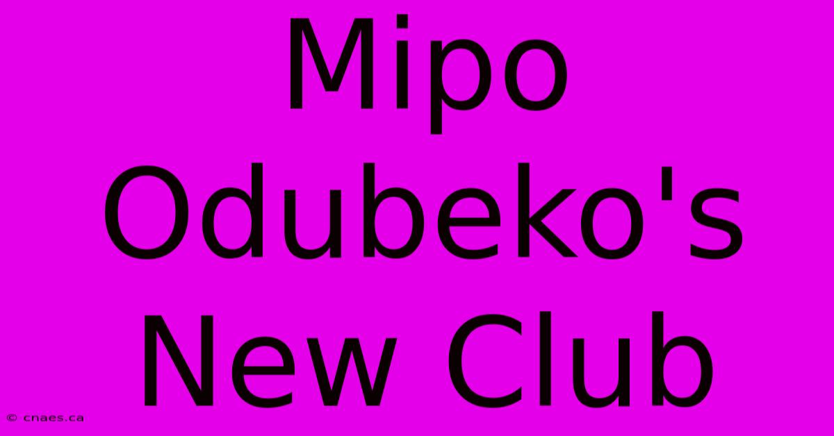 Mipo Odubeko's New Club