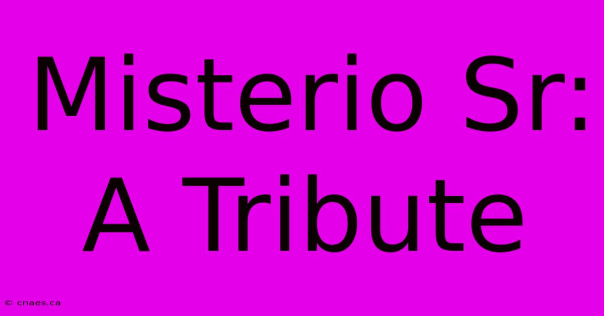 Misterio Sr: A Tribute