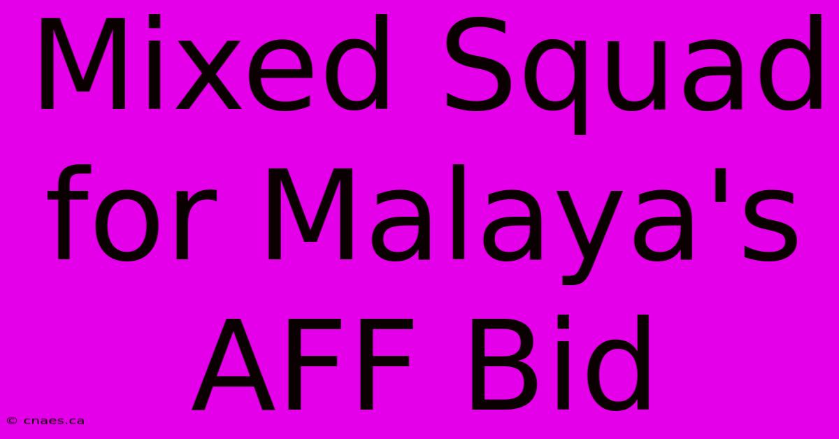 Mixed Squad For Malaya's AFF Bid