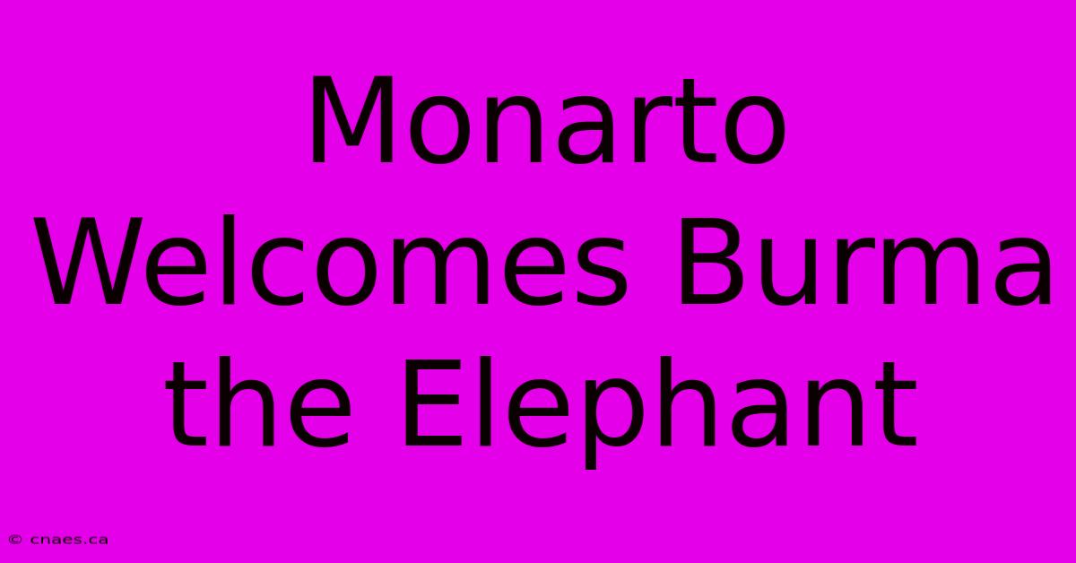 Monarto Welcomes Burma The Elephant