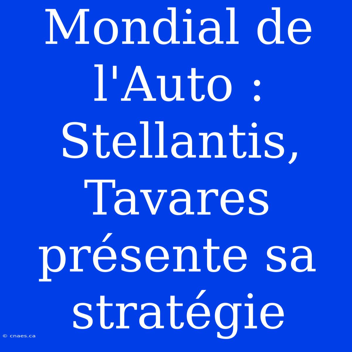 Mondial De L'Auto : Stellantis, Tavares Présente Sa Stratégie