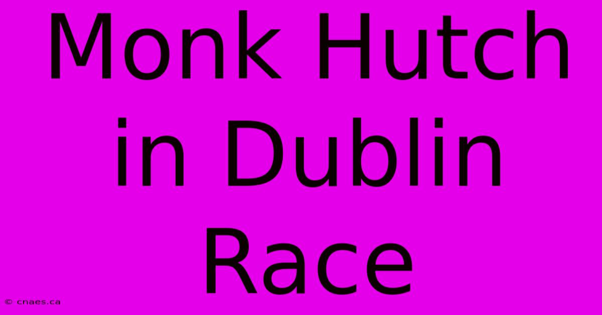 Monk Hutch In Dublin Race