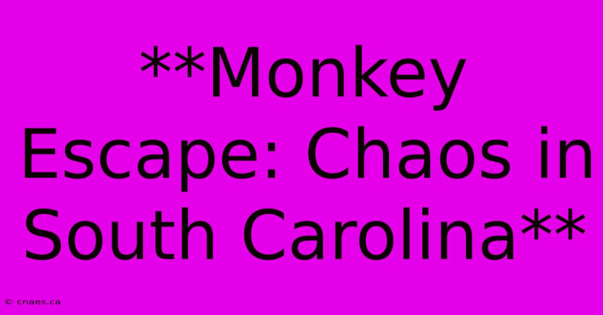 **Monkey Escape: Chaos In South Carolina**