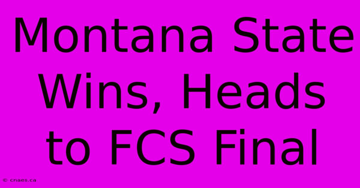 Montana State Wins, Heads To FCS Final