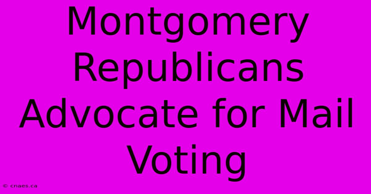 Montgomery Republicans Advocate For Mail Voting 