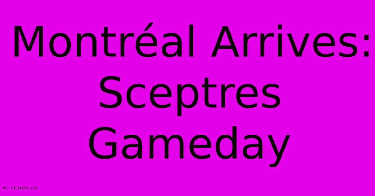 Montréal Arrives: Sceptres Gameday