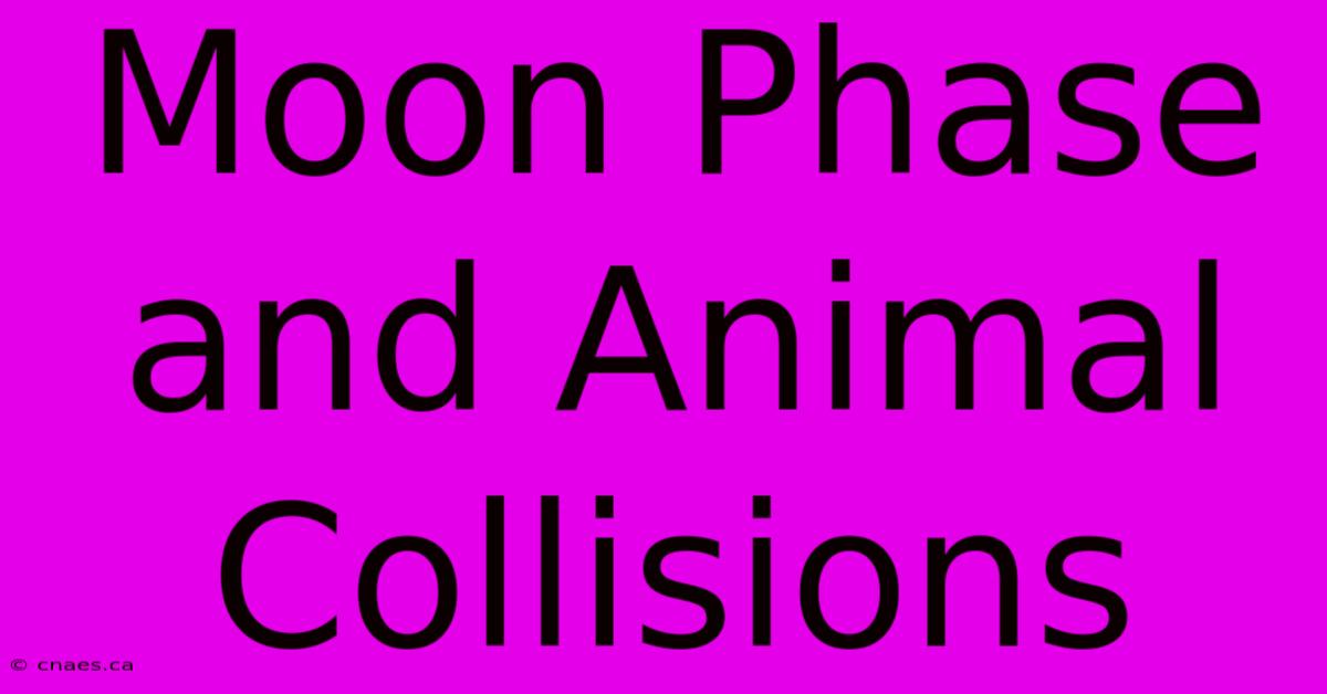 Moon Phase And Animal Collisions