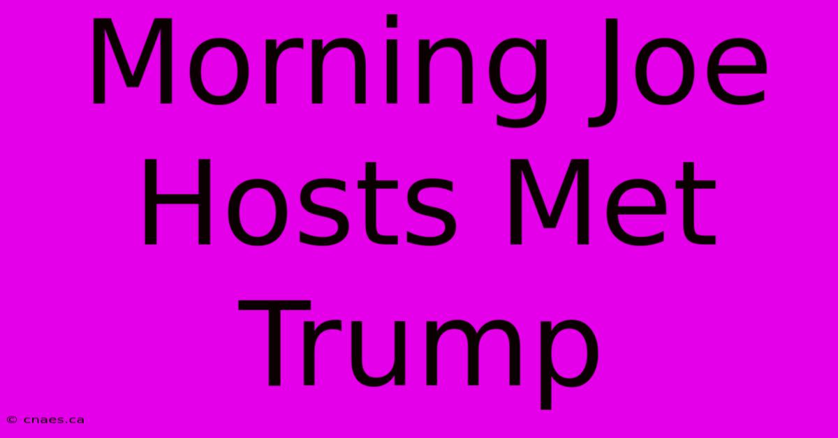 Morning Joe Hosts Met Trump