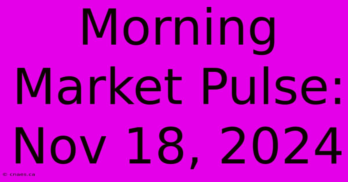 Morning Market Pulse: Nov 18, 2024