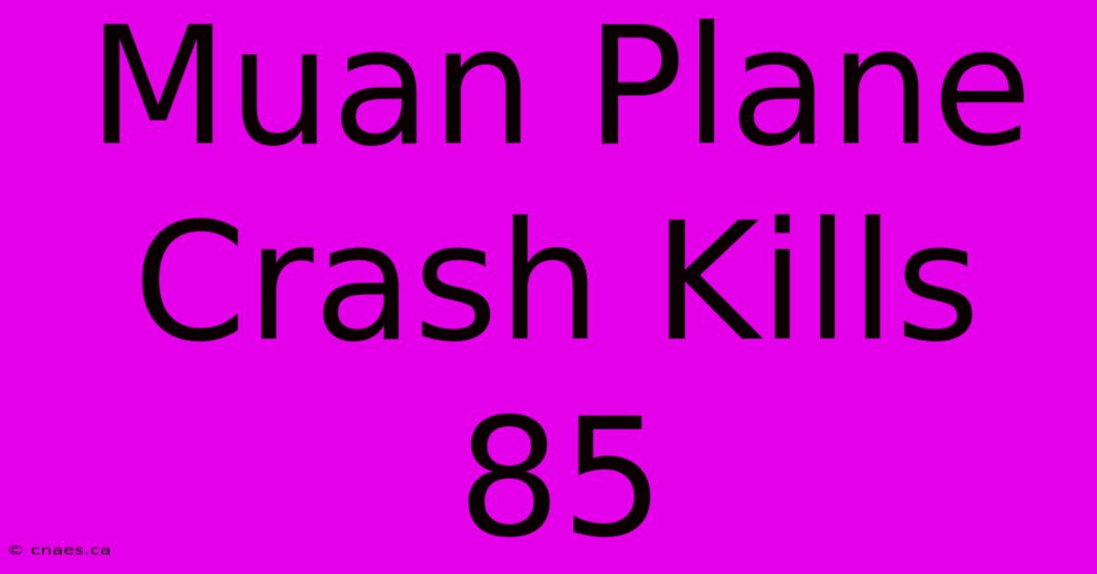 Muan Plane Crash Kills 85