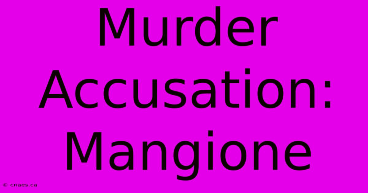 Murder Accusation: Mangione