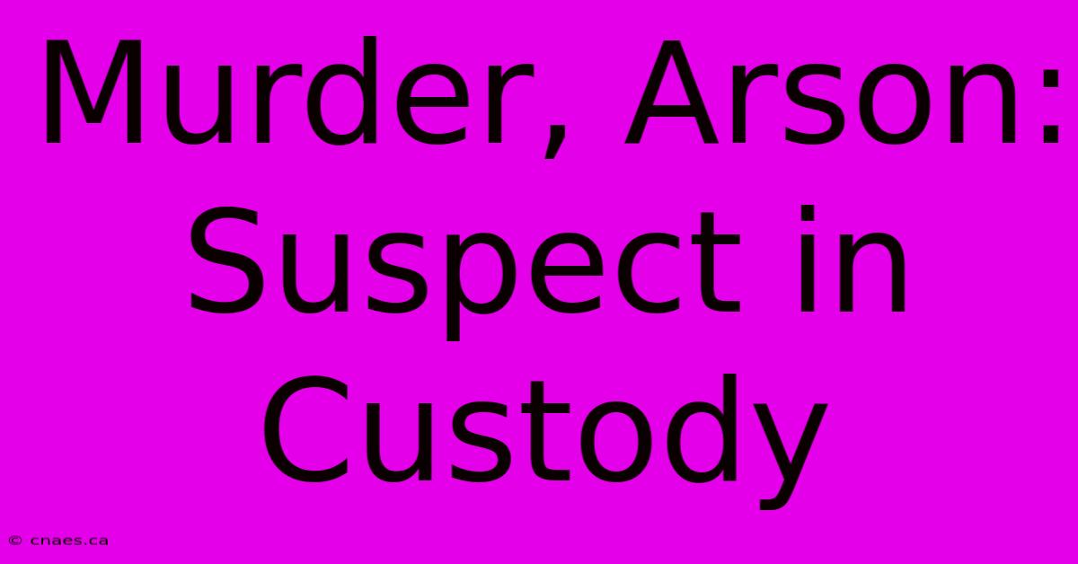 Murder, Arson: Suspect In Custody