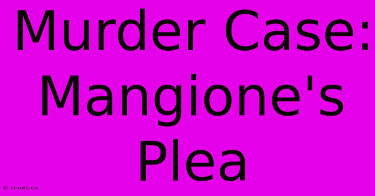 Murder Case: Mangione's Plea