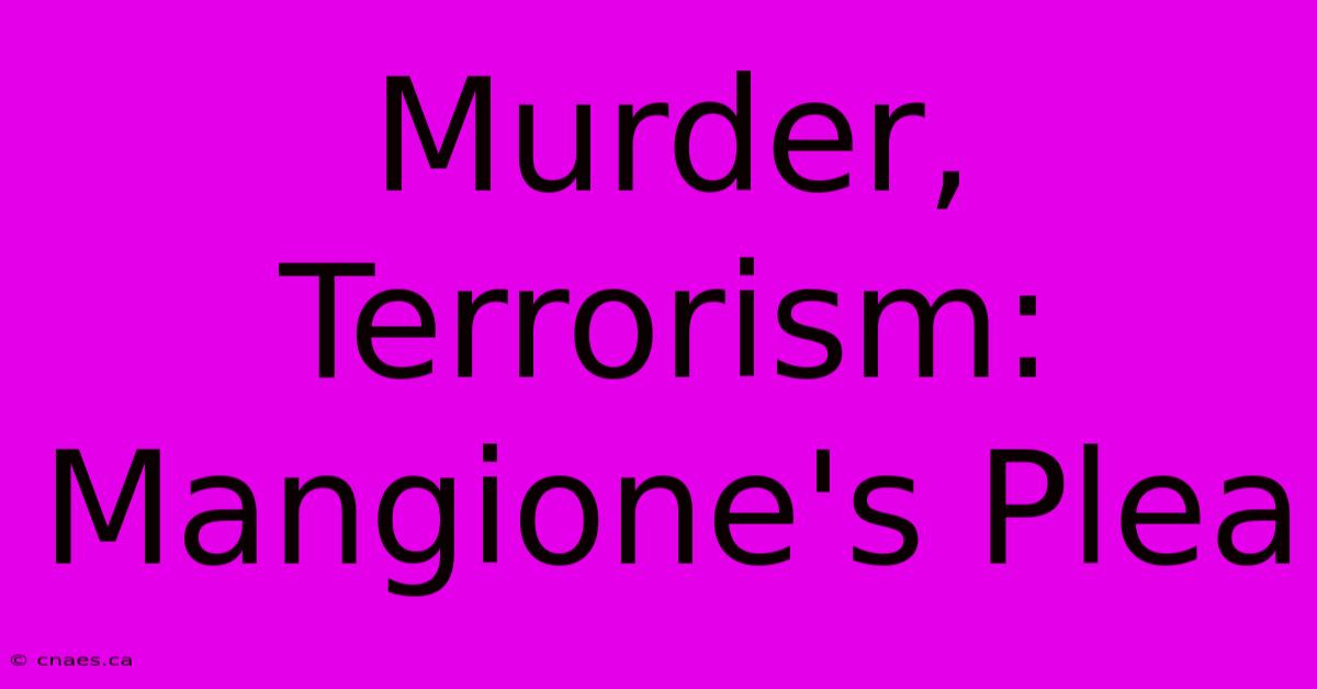 Murder, Terrorism: Mangione's Plea