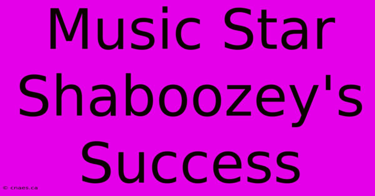 Music Star Shaboozey's Success