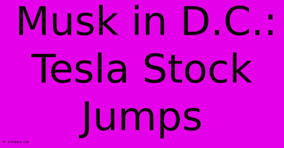 Musk In D.C.: Tesla Stock Jumps