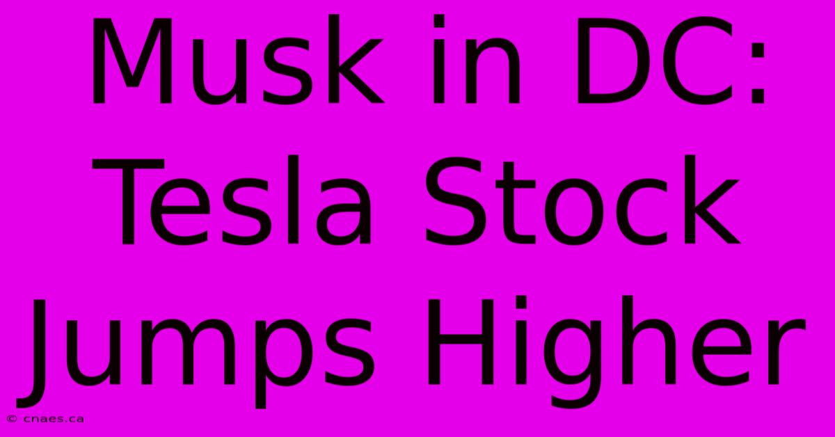 Musk In DC: Tesla Stock Jumps Higher