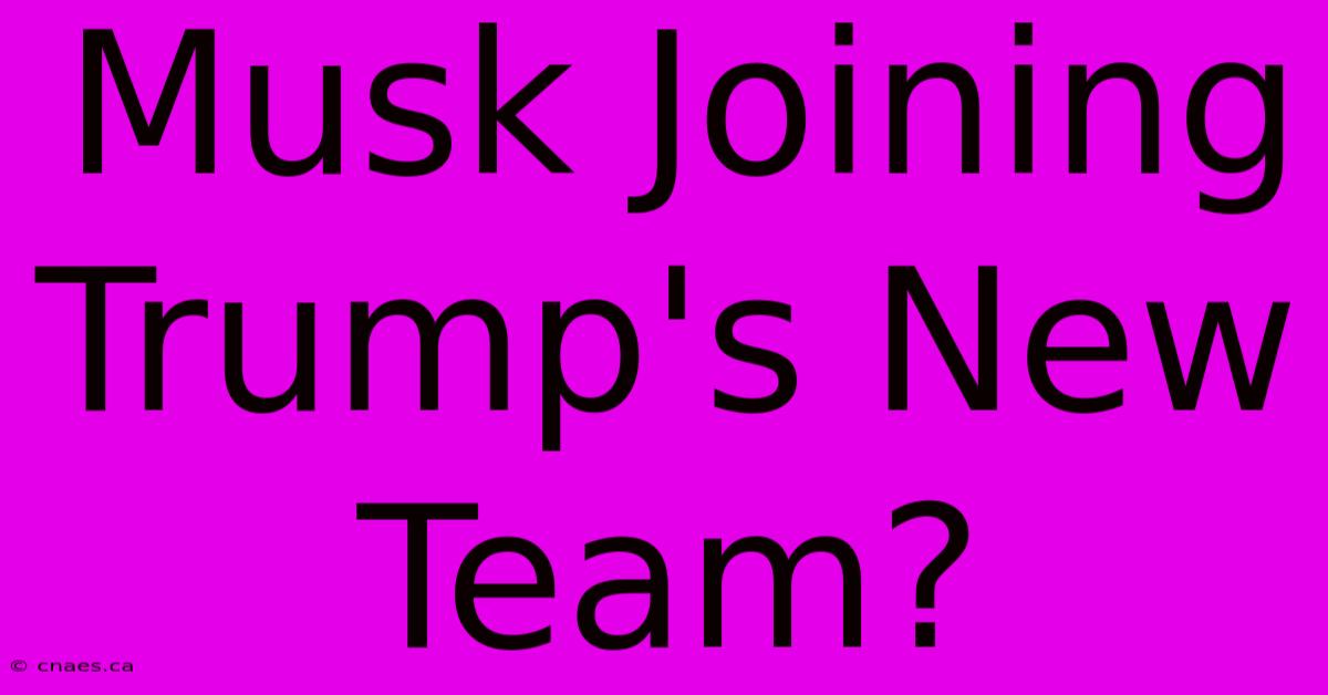 Musk Joining Trump's New Team?