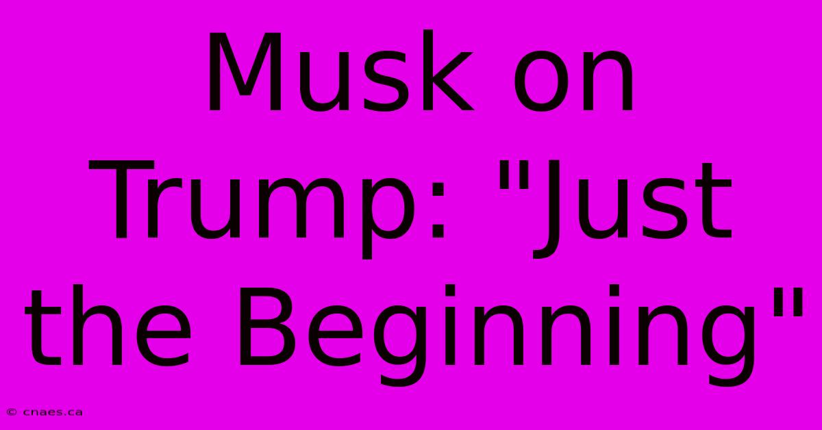 Musk On Trump: 