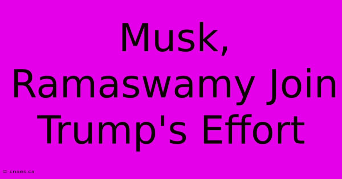 Musk, Ramaswamy Join Trump's Effort