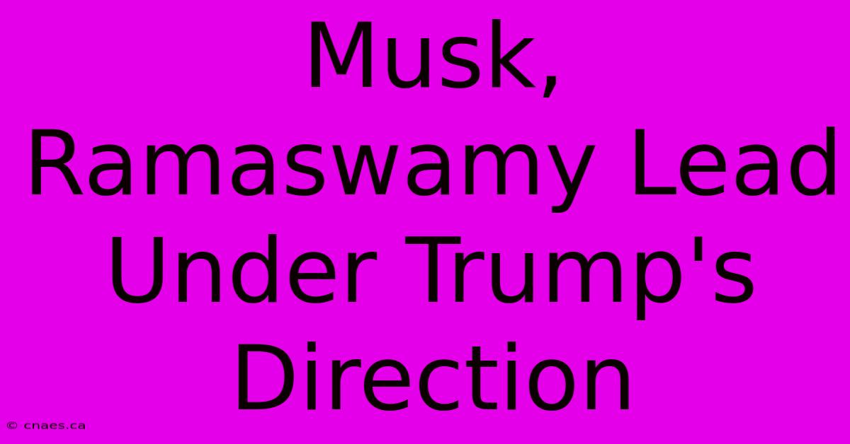 Musk, Ramaswamy Lead Under Trump's Direction