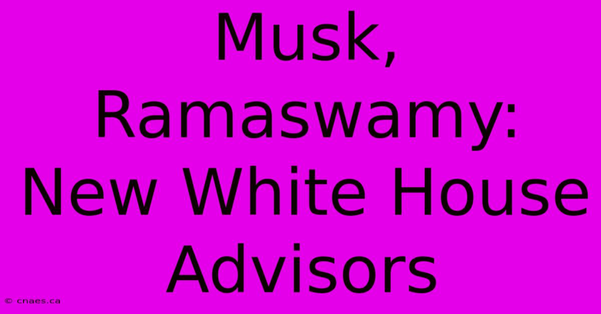 Musk, Ramaswamy: New White House Advisors