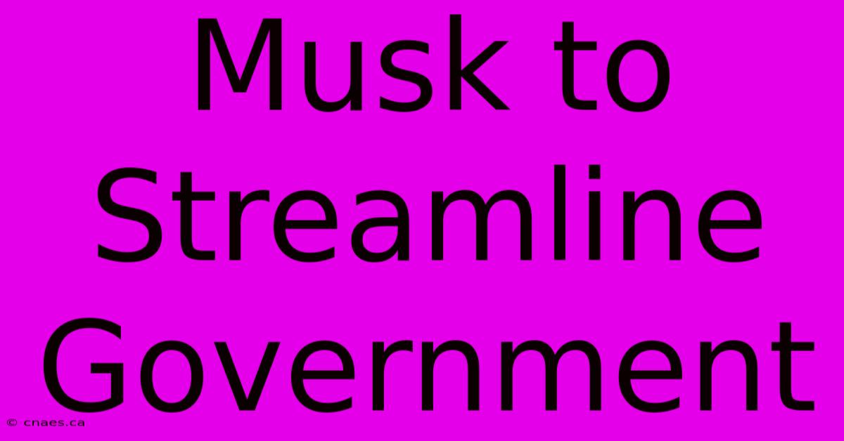 Musk To Streamline Government