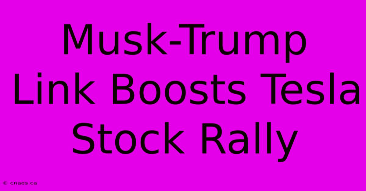 Musk-Trump Link Boosts Tesla Stock Rally