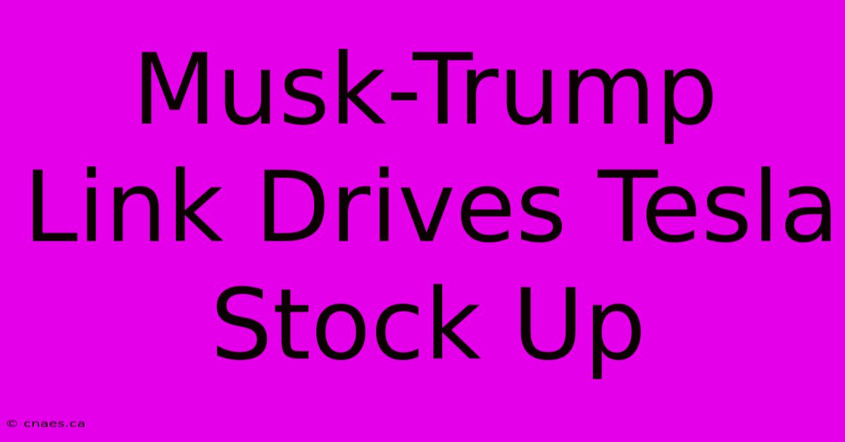 Musk-Trump Link Drives Tesla Stock Up 