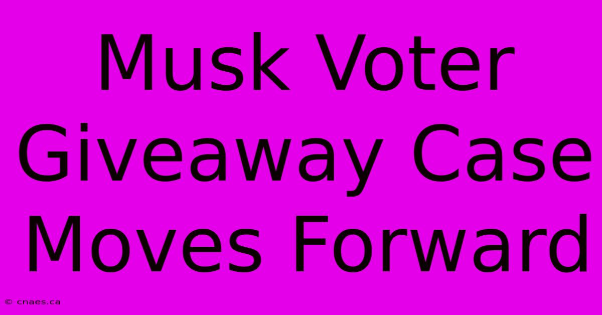 Musk Voter Giveaway Case Moves Forward