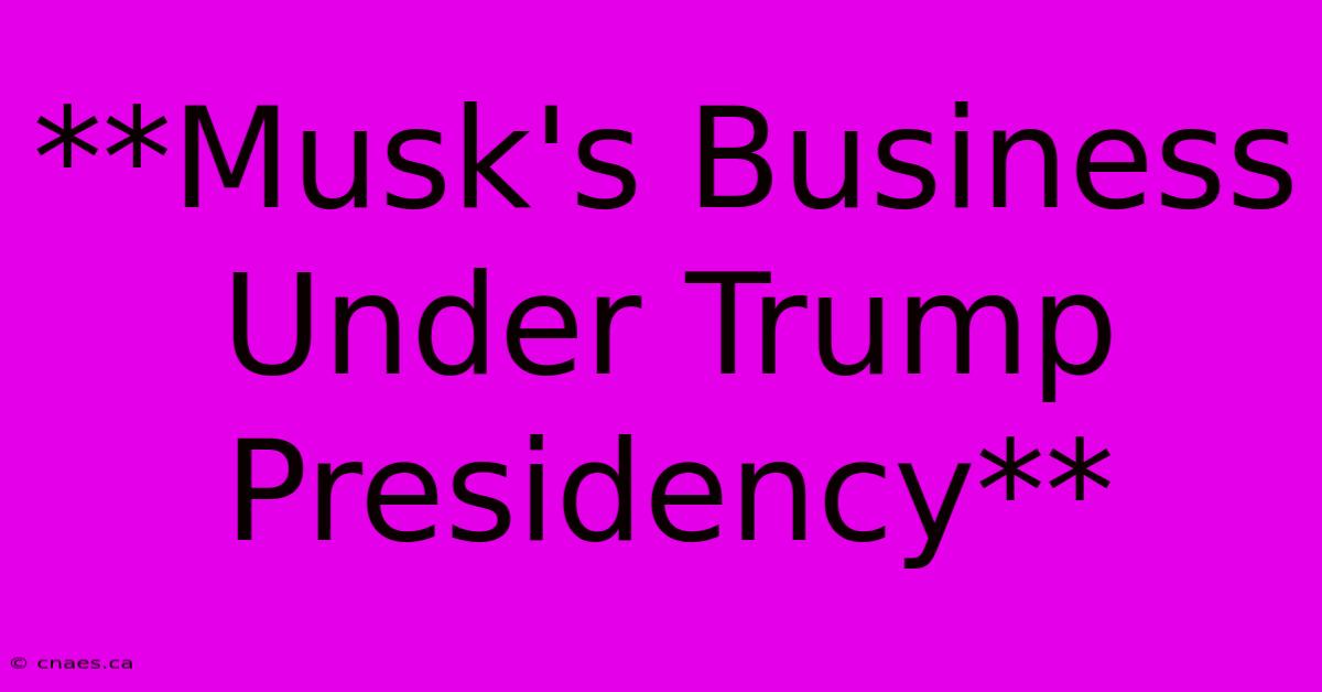 **Musk's Business Under Trump Presidency**