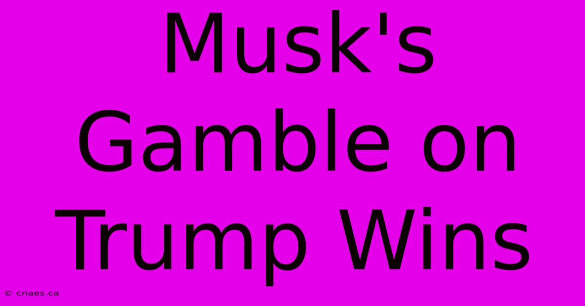 Musk's Gamble On Trump Wins