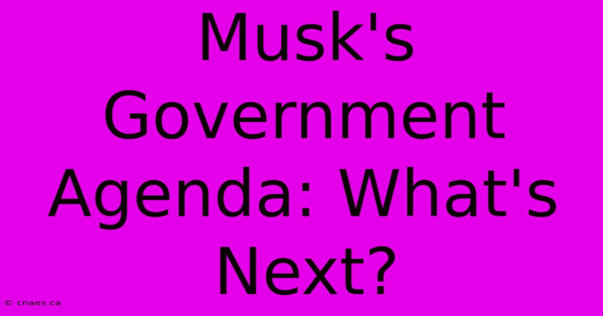 Musk's Government Agenda: What's Next?