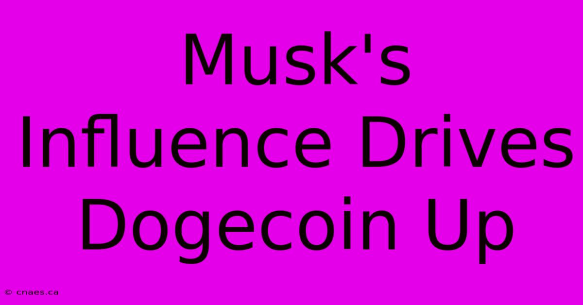 Musk's Influence Drives Dogecoin Up