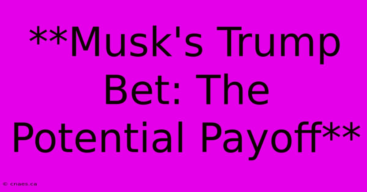 **Musk's Trump Bet: The Potential Payoff** 