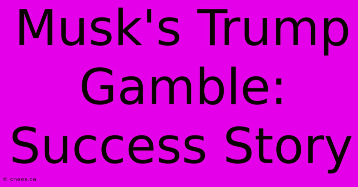 Musk's Trump Gamble: Success Story