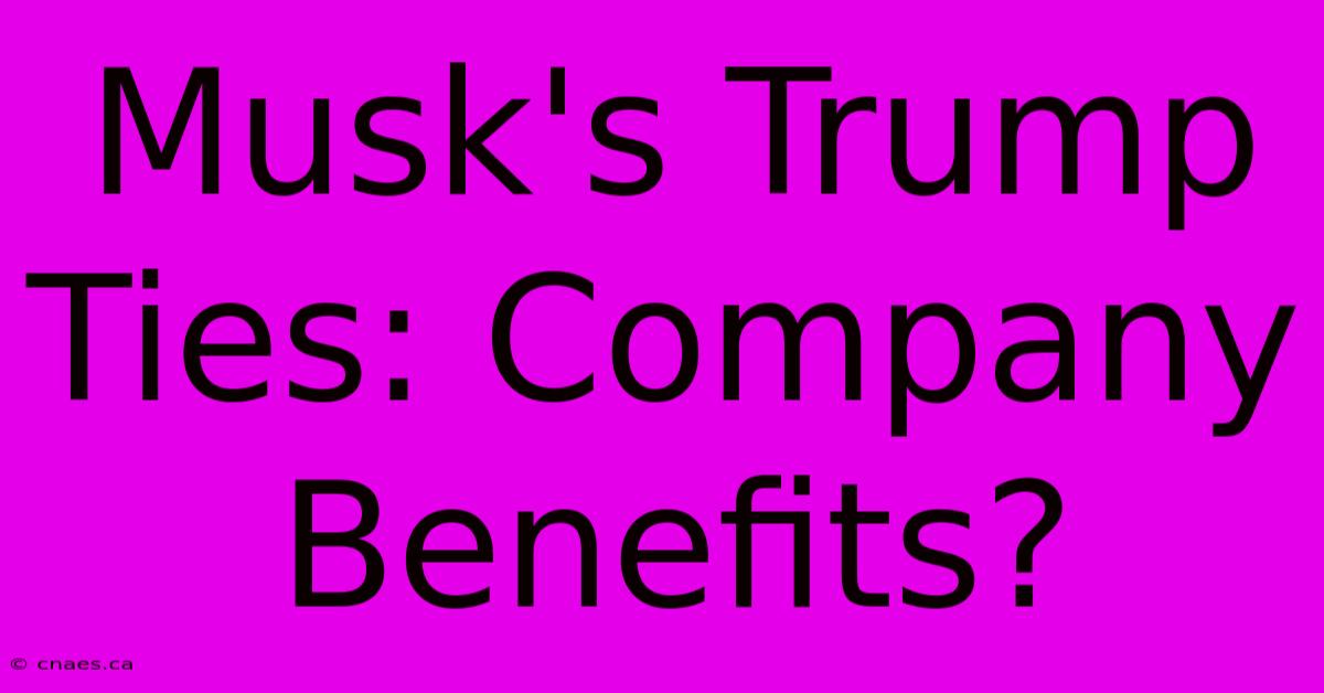 Musk's Trump Ties: Company Benefits?