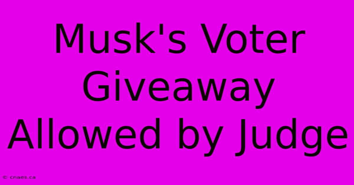 Musk's Voter Giveaway Allowed By Judge