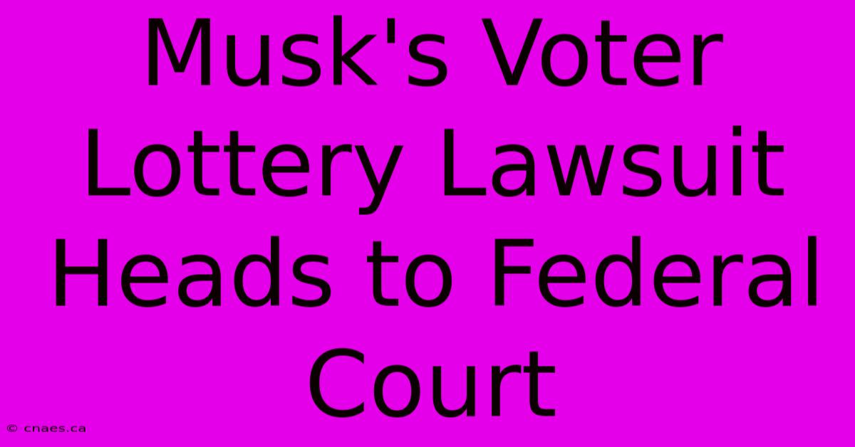 Musk's Voter Lottery Lawsuit Heads To Federal Court