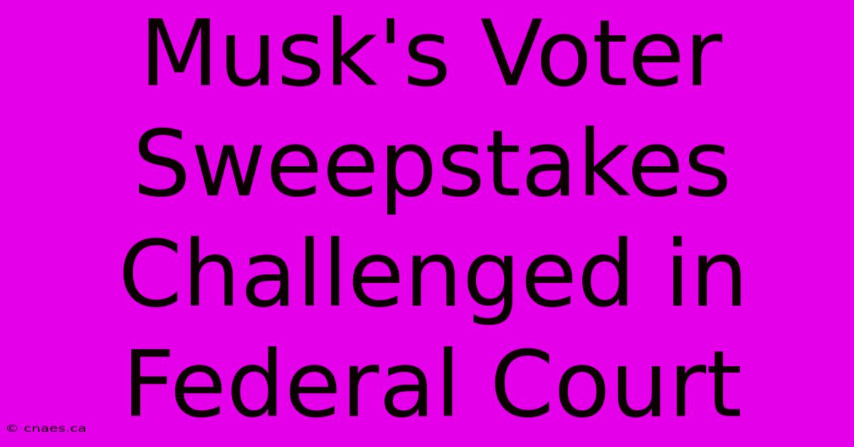 Musk's Voter Sweepstakes Challenged In Federal Court