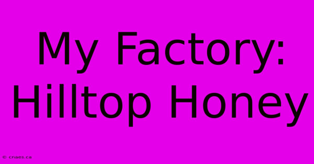 My Factory: Hilltop Honey