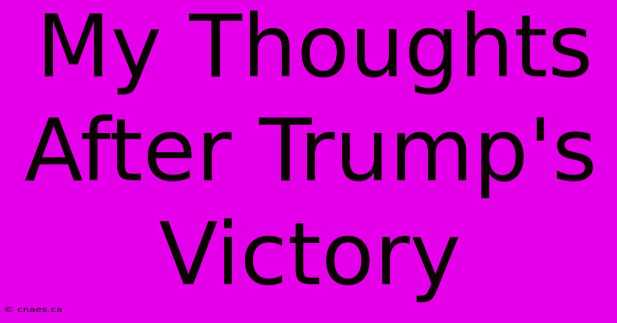 My Thoughts After Trump's Victory