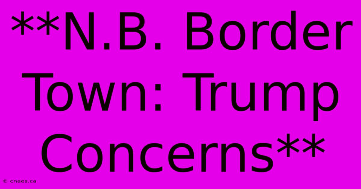 **N.B. Border Town: Trump Concerns**