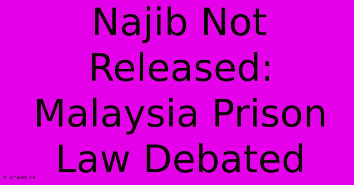 Najib Not Released: Malaysia Prison Law Debated 