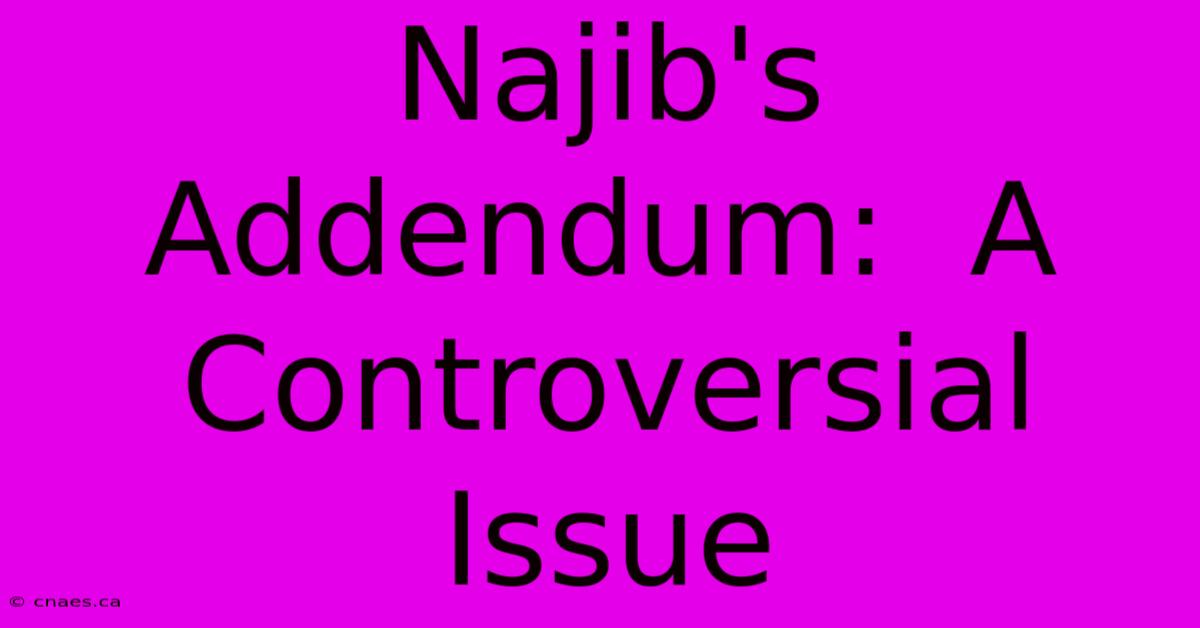 Najib's Addendum:  A Controversial Issue