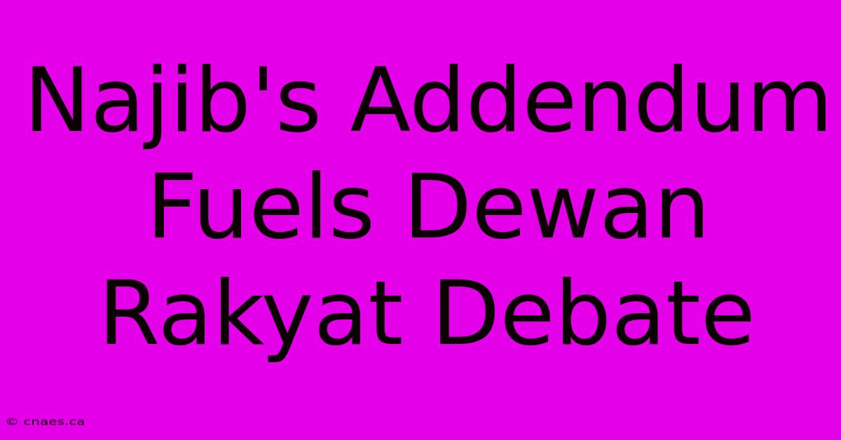 Najib's Addendum Fuels Dewan Rakyat Debate