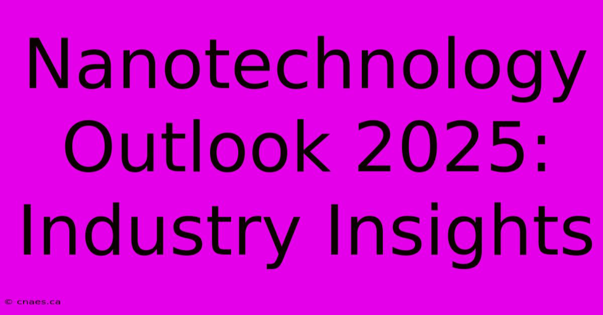 Nanotechnology Outlook 2025: Industry Insights