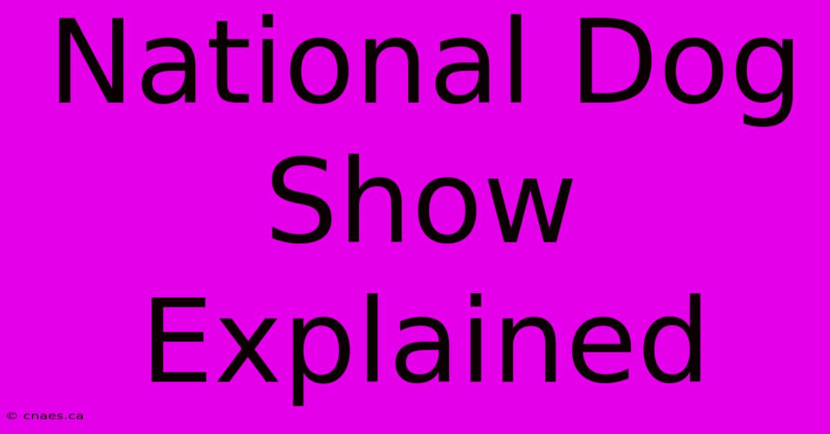 National Dog Show Explained