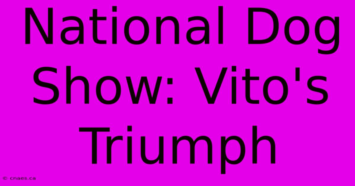 National Dog Show: Vito's Triumph